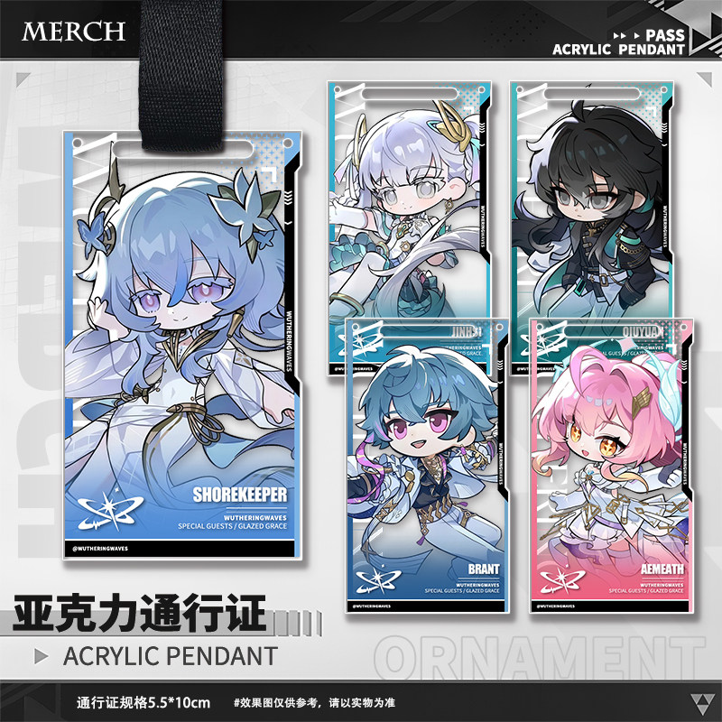 Game Wuthering Waves Aemeath T - огляд і ціна Anime Merchandise Bag
